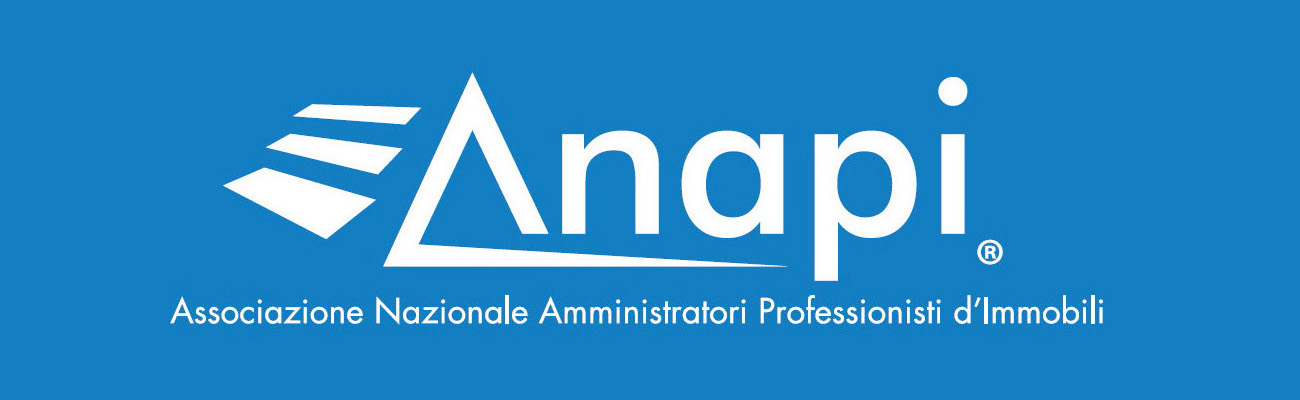 ANAPI-copia